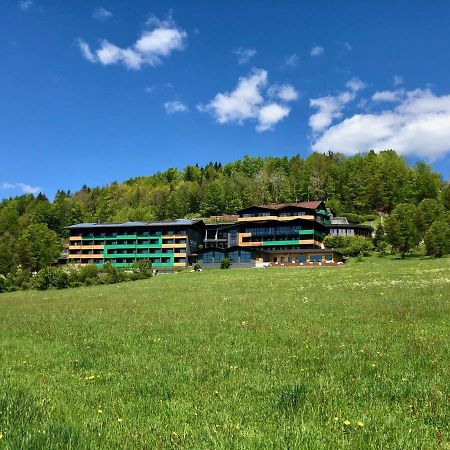 Natura Hotel Bodenmais - Inkl Soft- Und Heissgetraenkeflat Екстер'єр фото