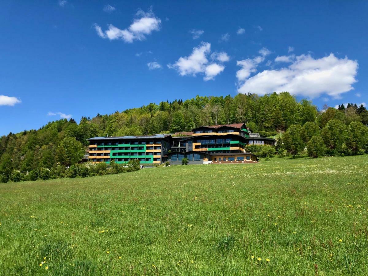 Natura Hotel Bodenmais - Inkl Soft- Und Heissgetraenkeflat Екстер'єр фото